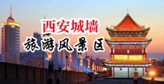 欧美男鸡巴操逼视频免费观看中国陕西-西安城墙旅游风景区